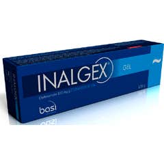 Basi Inalgex Etofenamato 100mg/g Gel 100g