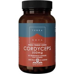 Newfoundland Cordyceps 500 Mg (Cordyceps Sinensis) 50 Cápsulas