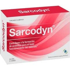Sarcodyn peppermint-limão sabor 21 saquetas