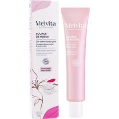 Melvita Source de Roses Gel Creme Hydra Glow Bio 40 ml