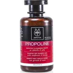 Shampoo Apivita Tingido 250ml