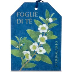 L'Erbolario Foglie Di Tè Filtro Multiusos Ambientador 1 unid.