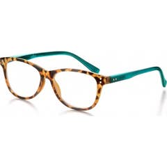 Coroação Gafas Bornéu Carey Verde +1,50 1ud