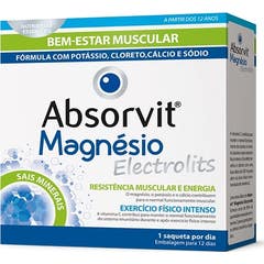 Absorvit Magnésio Electrolits Saquetas 12x4g