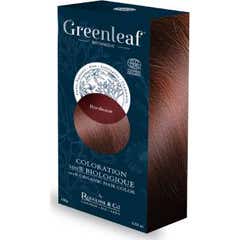 Greenleaf Bio Coloração Bordeaux 100g