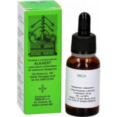 Alkaest Quintessenza Q27 Aceite Esencial Valeriana 10ml