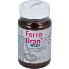 Granero Integral Ferrogan 690Mg 45caps