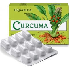 Curcuma 24 Cps Veg.Ebm