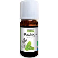 Proposta Óleo Essencial Orgânico Natural Patchouli 10ml