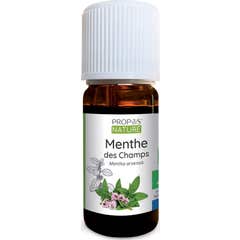 Proposta de Óleo Essencial Orgânico da Natureza Menta de Campo 10ml
