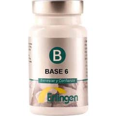 Base Erlingen 6 60 Cpr