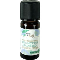 Born To Bio Óleo Essencial Eucalipto Radiata Bio 10 ml
