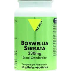 Vit'All+ Boswellia Serrata Standardized 60caps
