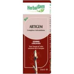 Herbalgem Artigem Bio 15ml