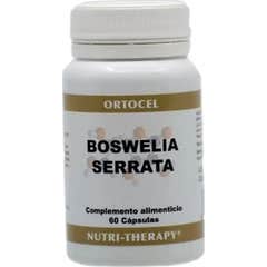 Ortocel Nutri-Therapy Boswellia 60caps