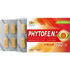 Fitofeno 500mg 12 Perlas