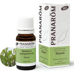 Pranarà «m niauló óleo essencial QT cineol BIO 10ml Pranarà «m niauló óleo essencial QT cineol BIO 10ml