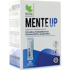 Soal MenteUp 20 Sobres