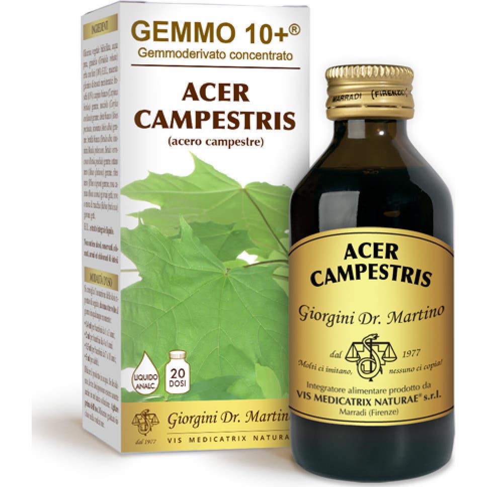 Dr. Giorgini Gemmo 10+ Arce Campestris 500Ml-image