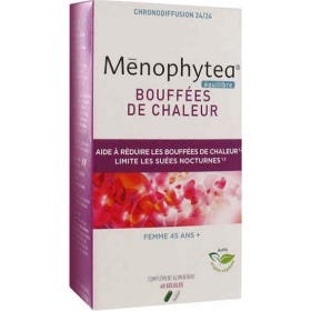 Ménophytea Hot Flushes 20 CáPsulas Dia + 20 CáPsulas Noite