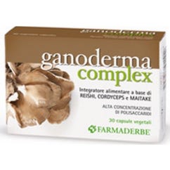 Complejo Ganoderma 30 Caps-image