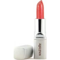 Soultree Barra De Labios 820 Deep Blush 4,5G
