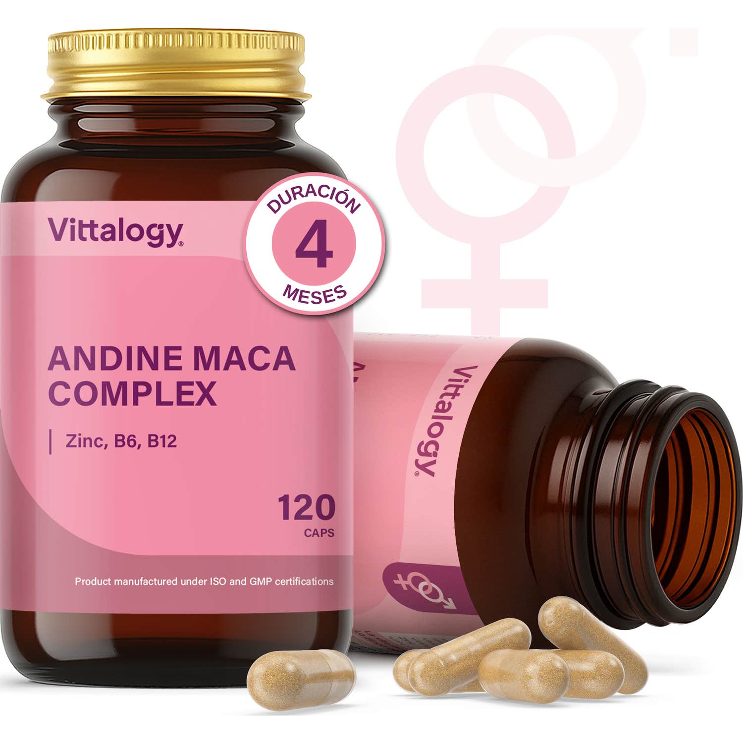 Vittalogy Maca Premium 120Caps-image