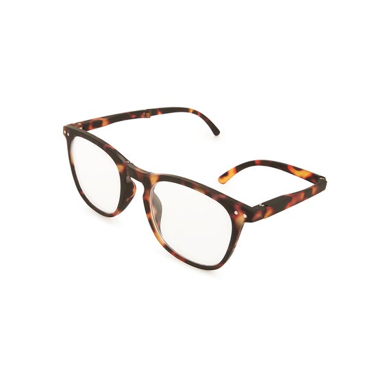 Óculos Nórdicos Dobráveis de Visão Havana +1,50 1ud
