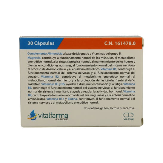 Vitalfarma Magnésio B Complexo 30caps