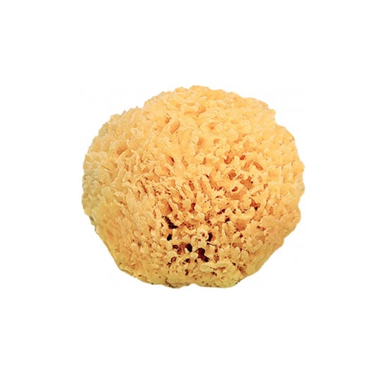 Saro Esponja Natural + 0m