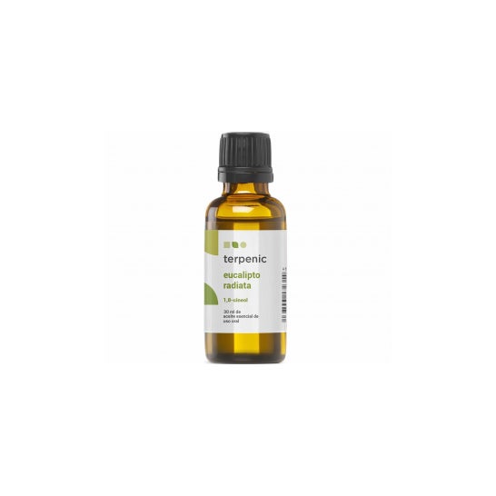 Eucalipto Terpénico Radiata 30ml
