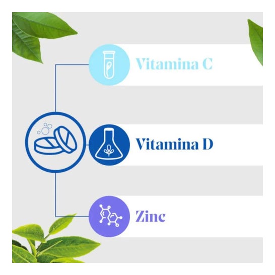Arkopharma Vitamina C & D3 2x20comp Arkopharma Vitamina C & D3 2x20comp