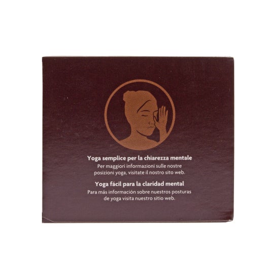 Chá de Yogi chocolate 17 sacos