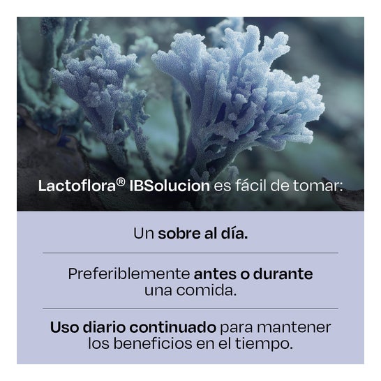 Lactoflora IBsolução 28 Envelopes