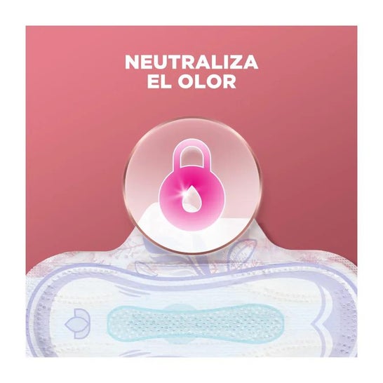 Ausonia Ultrafina Plus Compresas Super Alas 14uds Ausonia Ultrafina Plus Compresas Super Alas 14uds