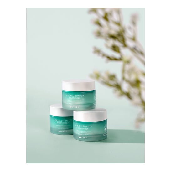 Mizon Cicaluronic Moisturizer 50ml