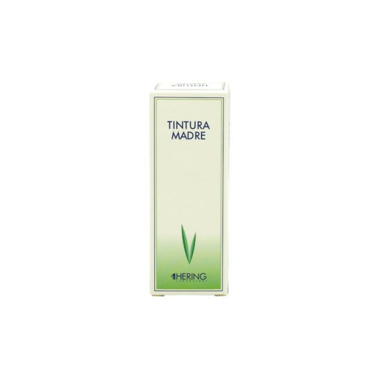 Hering Cynara Scolymus Tintura Madre 1L