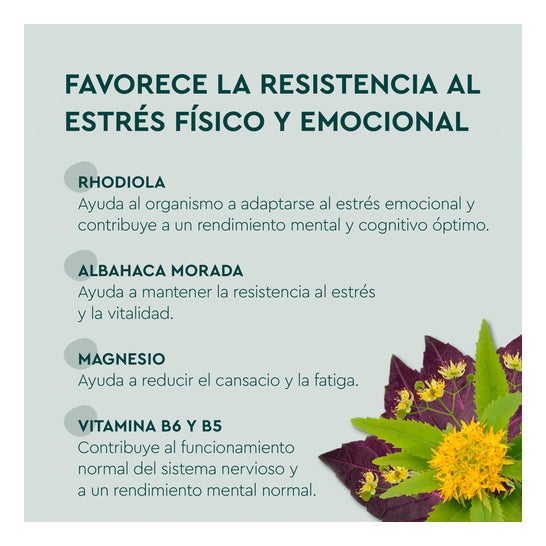 Equilíbrio de Stress do Joelho 15 Tabletes