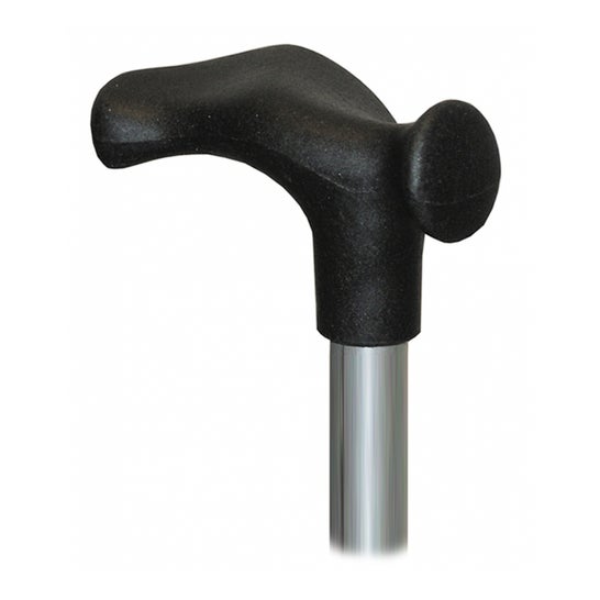 Cana de Herdegen Anat Gch Mat Wood