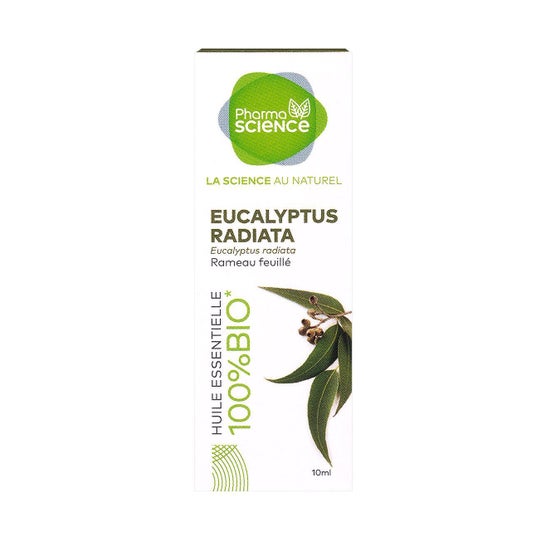 Óleo Essencial Pharmascience Eucalyptus Radiata 10ml