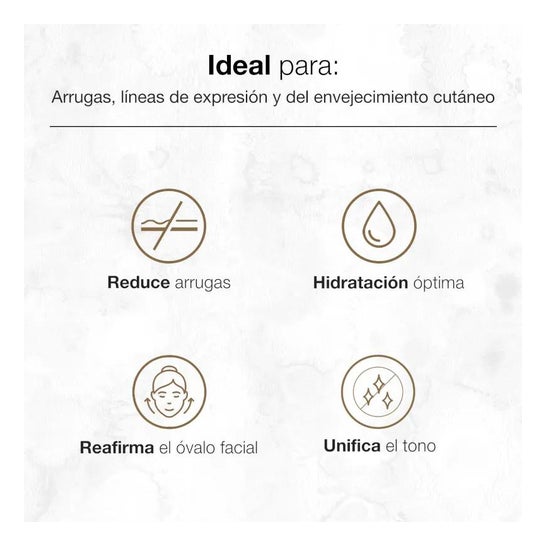 Bella Aurora Splendor10 tratamento anti-envelhecimento noturno 50ml Bella Aurora Splendor10 tratamento anti-envelhecimento noturno 50ml