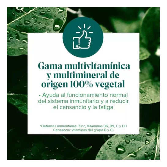 Arkovital® Pure Energy 50+ 60caps Arkovital® Pure Energy 50+ 60caps