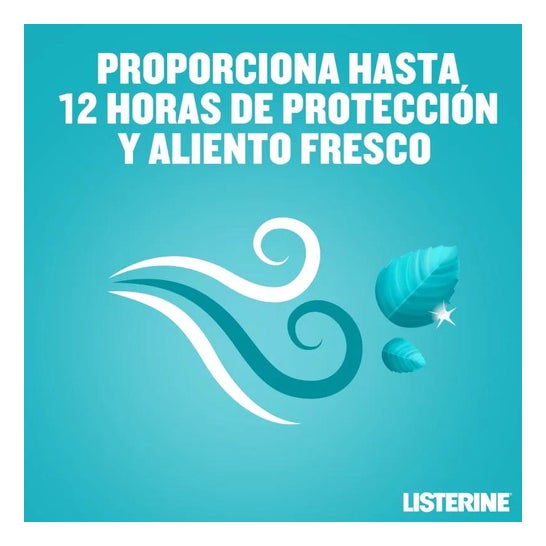 Listerine Mentol Mouthwash Pack 500+250ml Listerine Mentol Mouthwash Pack 500+250ml