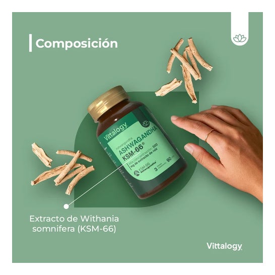 Vittalogy Ashwagandha KSM-66 90 cápsulas