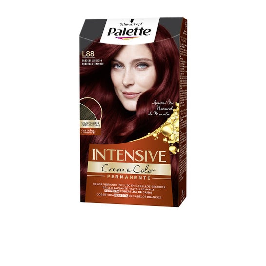 Schwarzkopf Paleta Cor Intensiva L88 Luminous Bordeaux 1pc