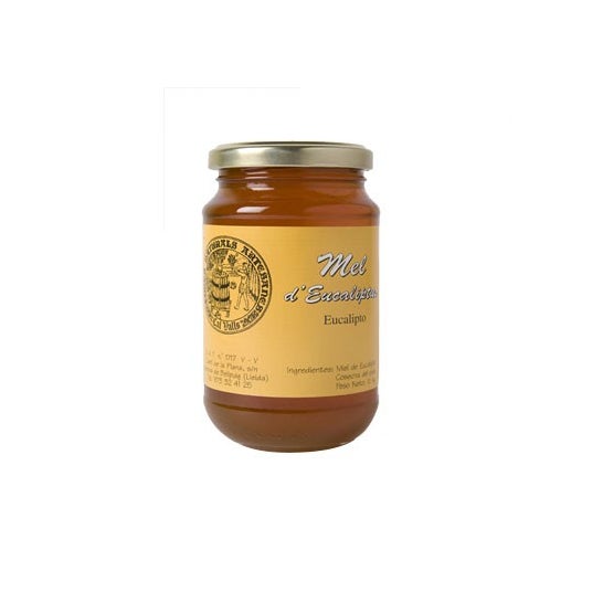 Cal Valls eucalipto mel 500g