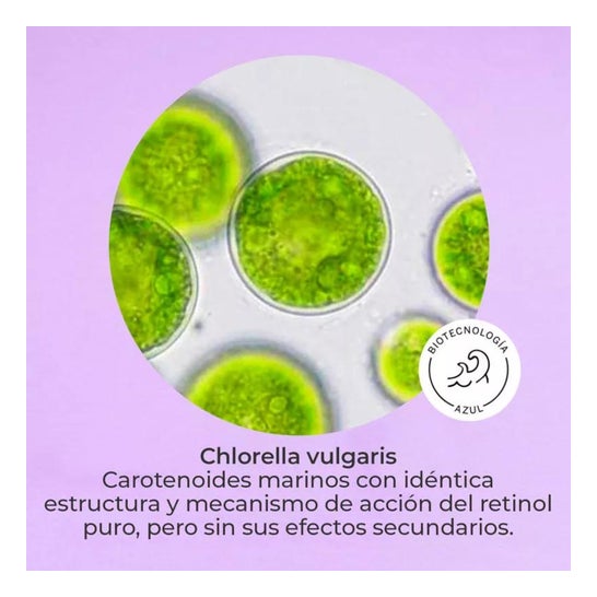 Segle Serúm Pure Retinol 30ml Segle Serúm Pure Retinol 30ml