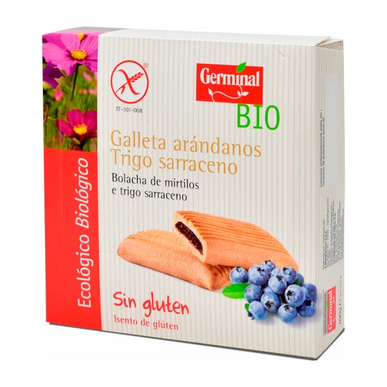 Germinal Gall. Blueberry Sarrace S/G Bio 250g