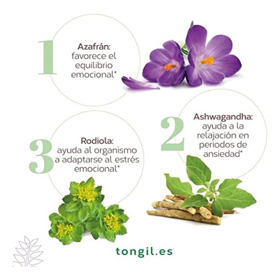 Tongil Nivelansi 80caps Tongil Nivelansi 80caps