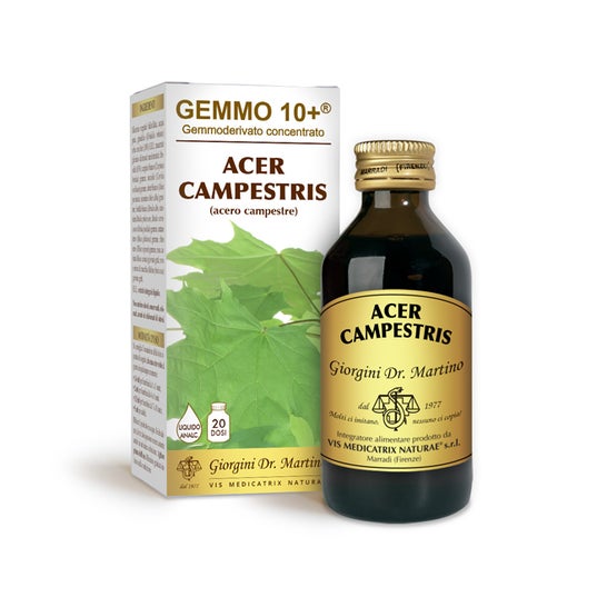 Dr. Giorgini Gemmo 10+ Arce Campestris 500ml